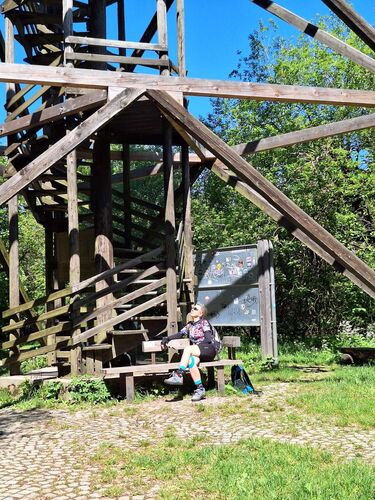 Gipfelstürmer 2024 - Regina - Damberg (811m)