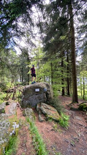 Gipfelstürmer 2024 - Gabriele - Sternstein (1122m)