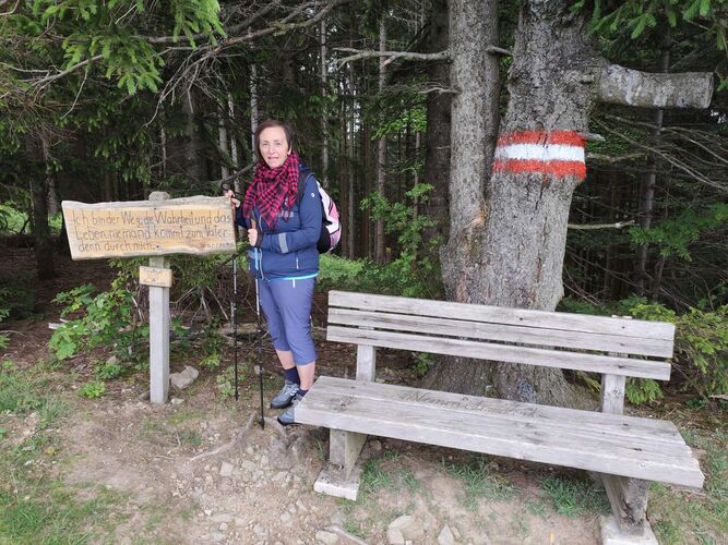 Gipfelstürmer 2024 - Rosa - Willeitenberg (837m)