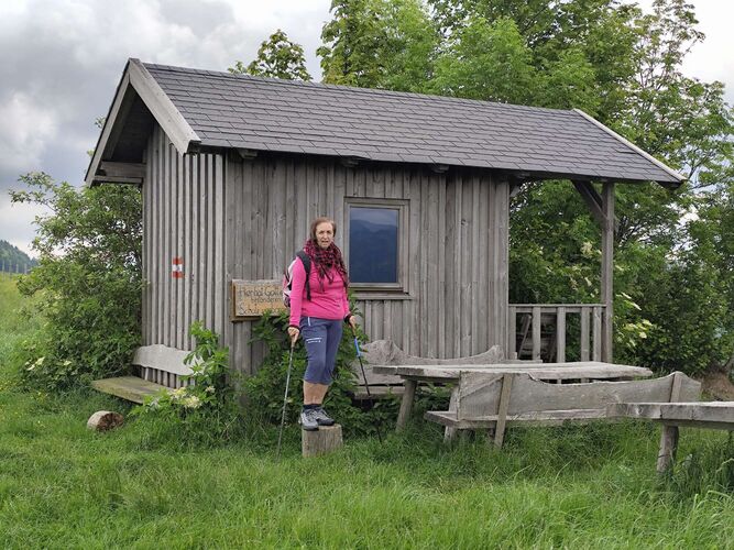 Gipfelstürmer 2024 - Rosa - Sonnberg (777m)