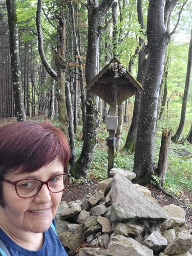 Gipfelstürmer 2024 - Maria - Kruckenbrettl (1020m)