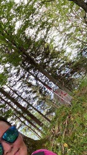 Gipfelstürmer 2024 - Gabriele - Grünauberg (1202m)