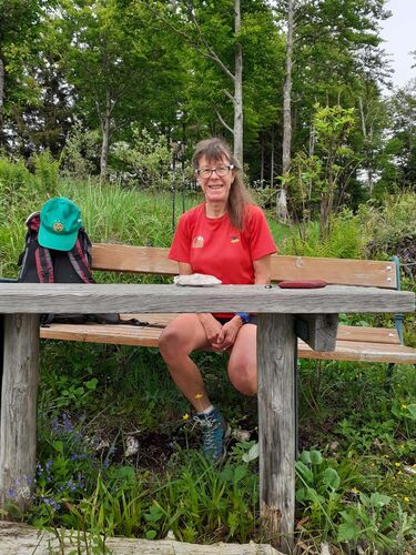 Gipfelstürmer 2024 - Margit - Farrenaubühel (1287m)