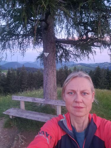 Gipfelstürmer 2024 - Ingrid - Grillenparz (842m)