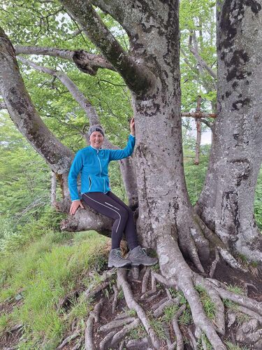 Gipfelstürmer 2024 - Regina - Kienberg (801m)