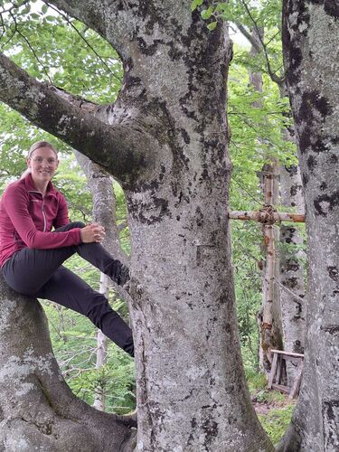 Gipfelstürmer 2024 - Nicole - Kienberg (801m)