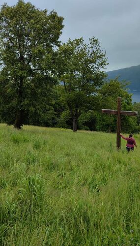 Gipfelstürmer 2024 - Karin - Gmundnerberg (884m)