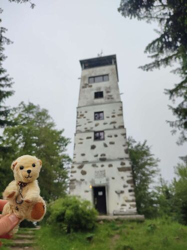 Gipfelstürmer 2024 - Angelika - Giselawarte (927m)