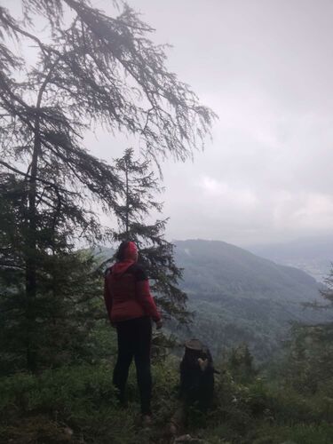 Gipfelstürmer 2024 - Karin - Freundschaftshöhe (1020m)