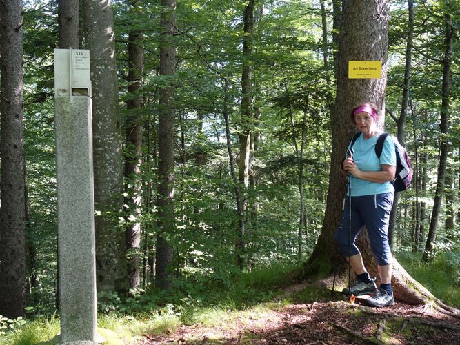 Gipfelstürmer 2024 - Rosa - Am Busserlberg (549m)