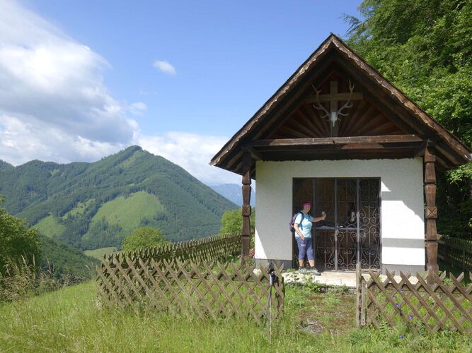 Gipfelstürmer 2024 - Rosa - Sulzeck (654m)