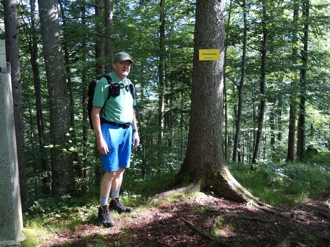 Gipfelstürmer 2024 - Franz - Am Busserlberg (549m)