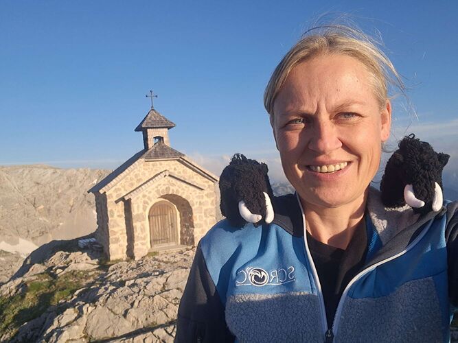 Gipfelstürmer 2024 - Ingrid - Simonyhütte 2203