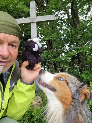 Gipfelstürmer 2024 - Georg - Herndleck (1026m)