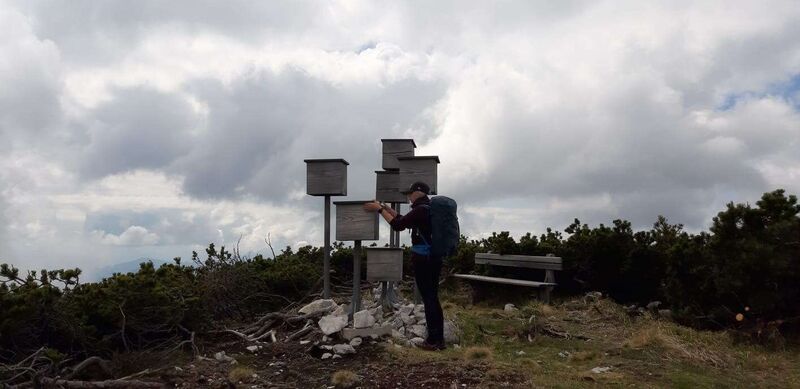 Gipfelstürmer 2024 - Sarah - Grünalmkogel (1791m)