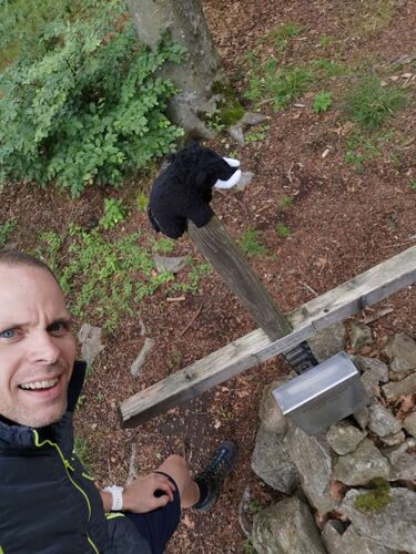 Gipfelstürmer 2024 - Robert - Pipieterkogel (567m)