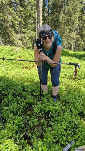 Gipfelstürmer 2024 - Anja - Vorderkeil  (1573m )