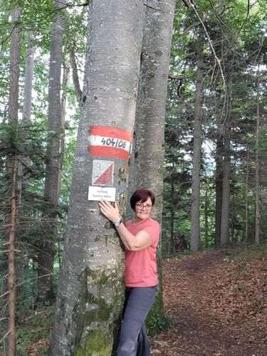 Gipfelstürmer 2024 - Maria - Jochberg (688m)