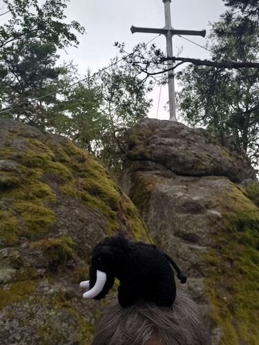 Gipfelstürmer 2024 - Anja - Hirtstein (844m)