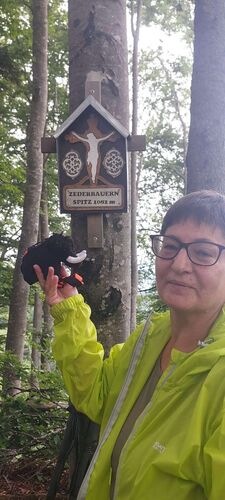 Gipfelstürmer 2024 - Elisabeth - Zederbauerspitz (1075m)