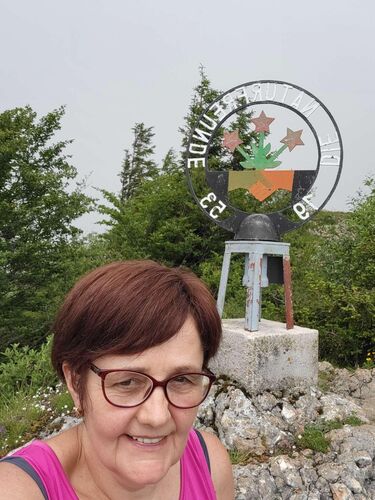 Gipfelstürmer 2024 - Maria - Nebelgipfel des Schoberstein (1232m)