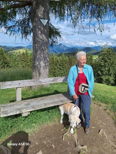 Gipfelstürmer 2024 - Theresia - Grillenparz (842m)