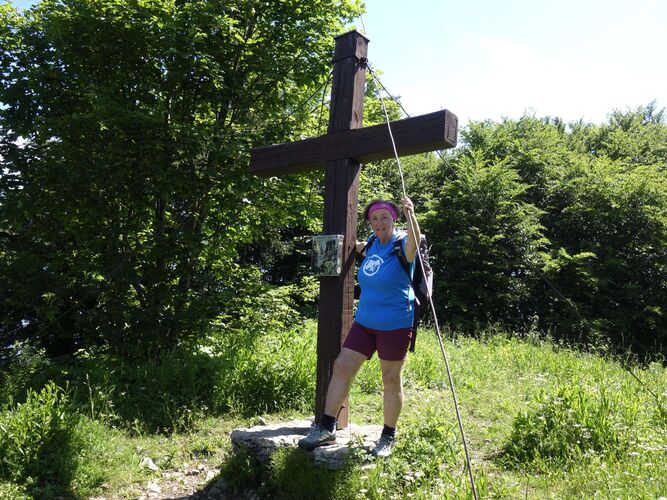 Gipfelstürmer 2024 - Rosa - Hochbuchberg (1273m)