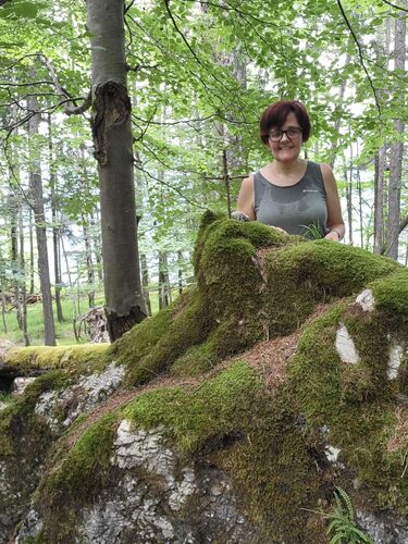 Gipfelstürmer 2024 - Maria - Lainberg (764m)