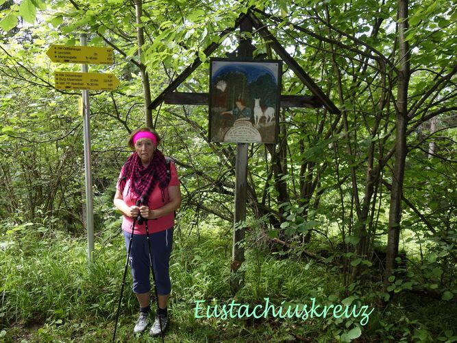 Gipfelstürmer 2024 - Rosa - Eustachiuskreuz  (1000m)