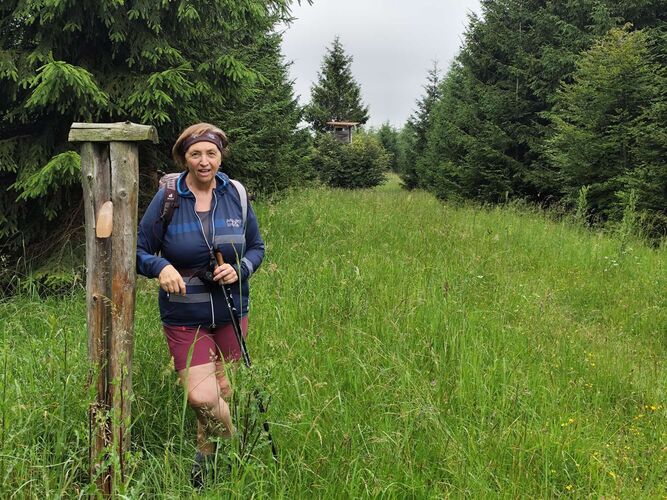 Gipfelstürmer 2024 - Rosa - Braschenberg (787m)