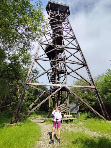 Gipfelstürmer 2024 - Rosa - Damberg (811m)