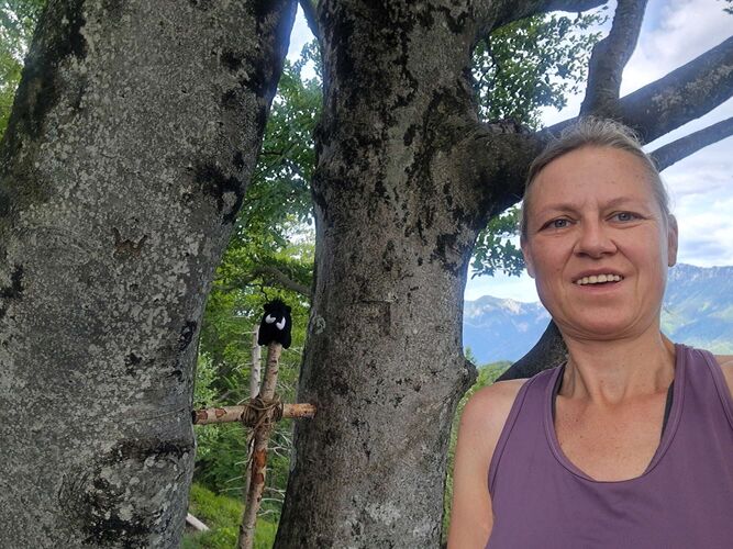 Gipfelstürmer 2024 - Ingrid - Kienberg (801m)