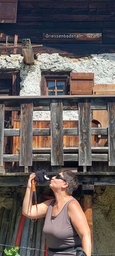 Gipfelstürmer 2024 - Elisabeth - Grießenbodenalm  (1422m)