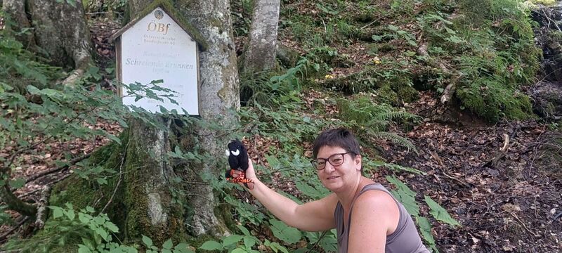 Gipfelstürmer 2024 - Elisabeth - Schreiender Brunnen (1000m)
