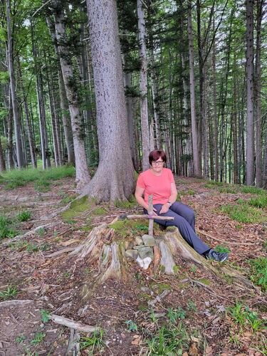 Gipfelstürmer 2024 - Maria - Buchenberg (984m )