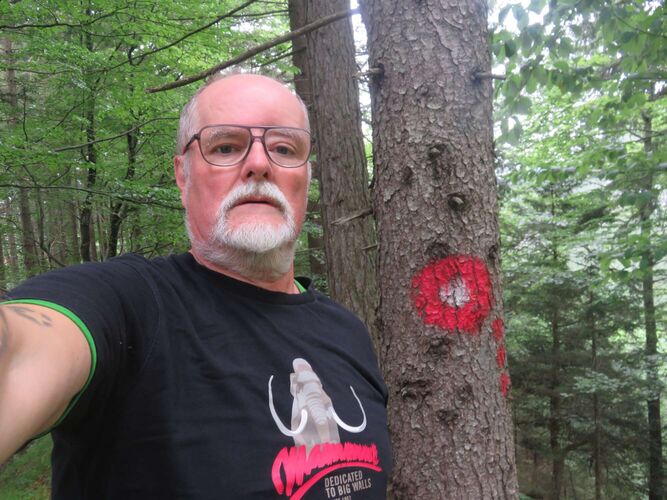 Gipfelstürmer 2024 - Helmut - Sonnwendkogel (719m )