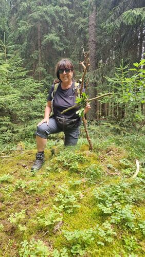 Gipfelstürmer 2024 - Elisabeth - Schiffberg  (783m)