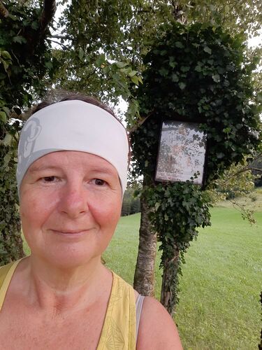 Gipfelstürmer 2024 - Ingrid - Georgisattel  (533m)