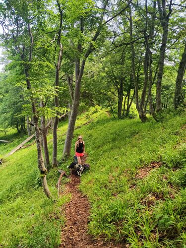 Gipfelstürmer 2024 - Madeleine - Astein (1419m)