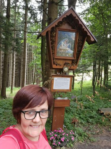 Gipfelstürmer 2024 - Maria - Ederbild  (1015m)