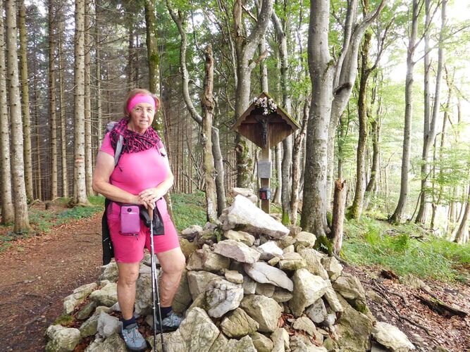 Gipfelstürmer 2024 - Rosa - Kruckenbrettl (1020m)