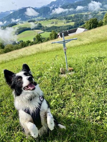 Gipfelstürmer 2024 - Susanna - Gmundnerberg (884m)