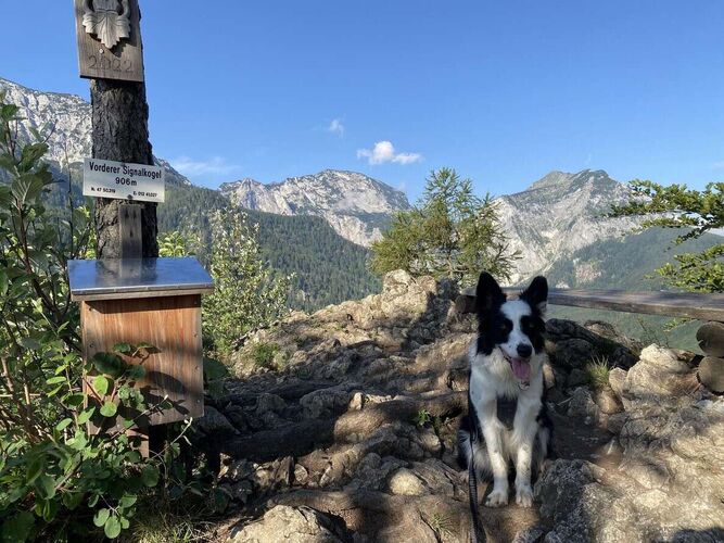 Gipfelstürmer 2024 - Susanna - Vorderer Signalkogel (906m)