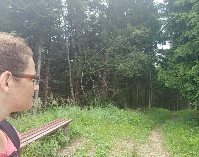 Gipfelstürmer 2024 - Angela - Hochgschirr (981m)