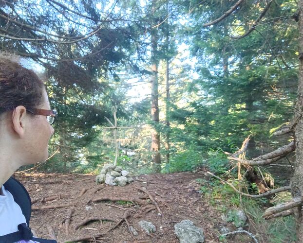 Gipfelstürmer 2024 - Angela - Fahrnaugupf (1239m)