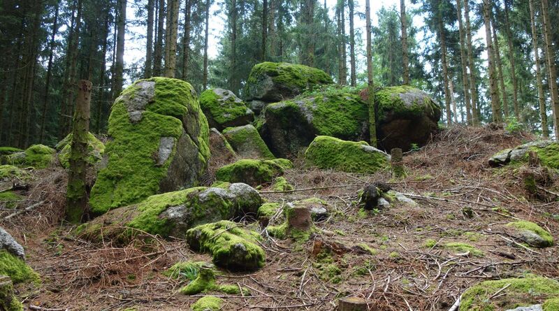 Gipfelstürmer 2024 - Karl - Geißberg 922m