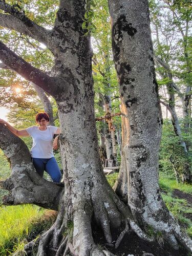 Gipfelstürmer 2024 - Maria - Kienberg (801m)