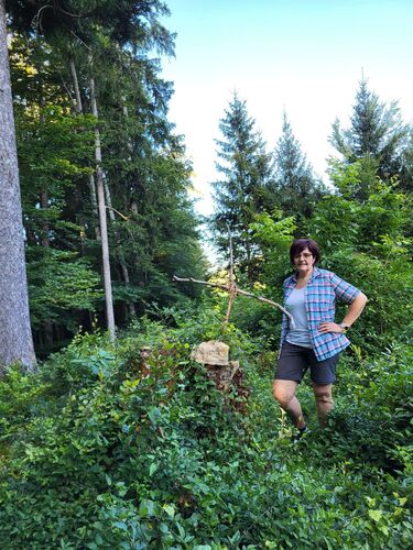 Gipfelstürmer 2024 - Maria - Sulzeck (654m)