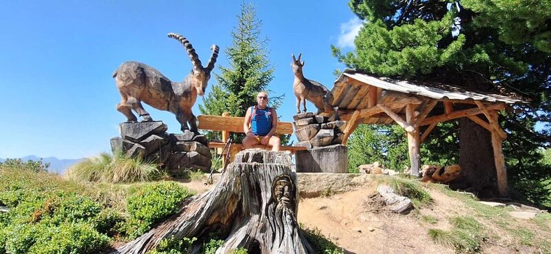 Gipfelstürmer 2024 - Dietmar - Graukogel-Gasteinblick  (1940m)