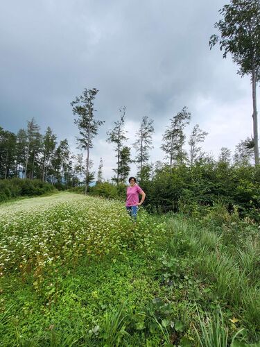 Gipfelstürmer 2024 - Maria - Plachwitz (903m)